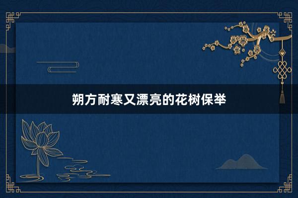 朔方耐寒又漂亮的花树保举